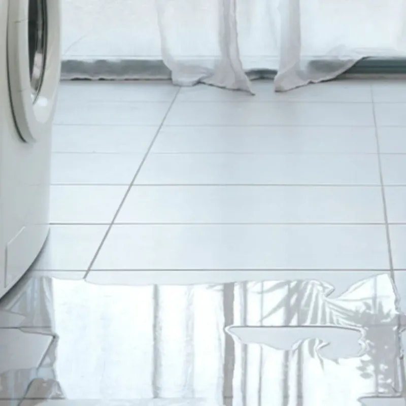 Appliance Leak Cleanup in Pullman, WA