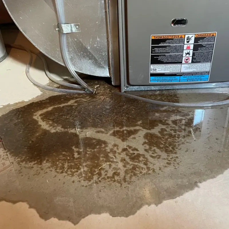 Pipe Burst and Leak Restoration in Pullman, WA